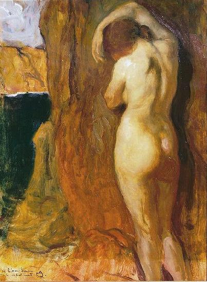unknow artist Nude Leaning against a Rock Overlooking the Sea, Sweden oil painting art